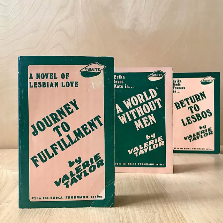 Taylor, Valerie. Erika Frohmann Series. Naiad Press, 1982. 3 paperbacks. 158 pp., 189 pp., 156 pp. [sold].