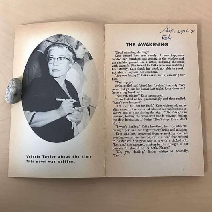 Taylor, Valerie. Erika Frohmann Series. Naiad Press, 1982. 3 paperbacks. 158 pp., 189 pp., 156 pp. [sold].