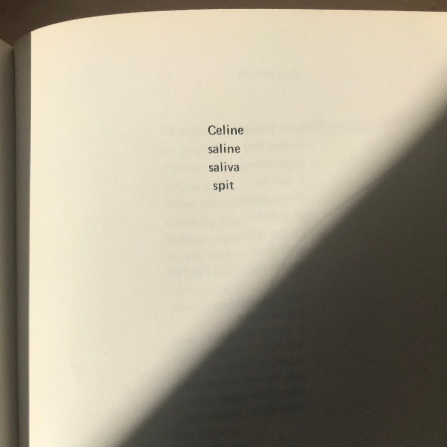 Smith, Patti. Seventh Heaven. Telegraph Books 1972. First edition third printing. 47 pp. Paperback in good condition.